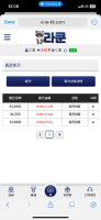 라쿤 이용후기
