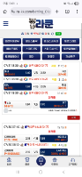 라쿤 이용후기
