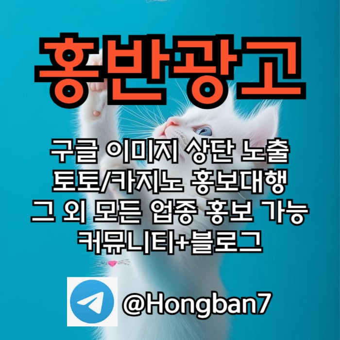 구글에서 [홍반광고]를 검색해 보세요 | 토토홍보 | 카지노홍보 | 커뮤니티홍보