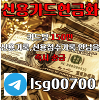 신용카드 현금화 | 소액 대출 | 카드당 150만원 당일송금