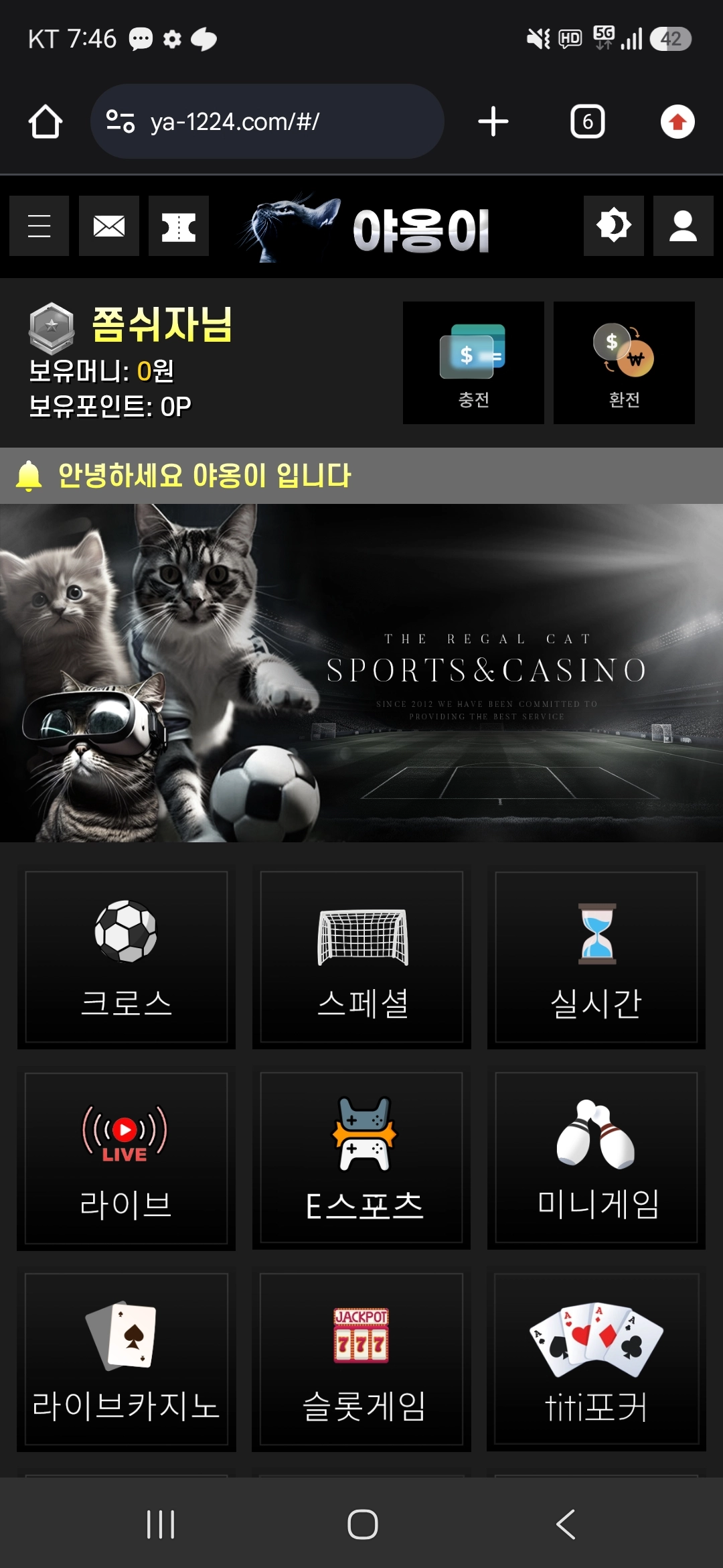야옹이 후기